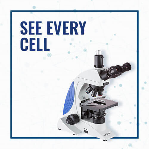 Microscopes & Magnifiers
